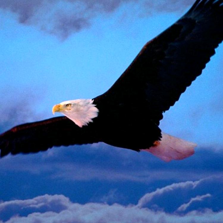 人生一切靠自己