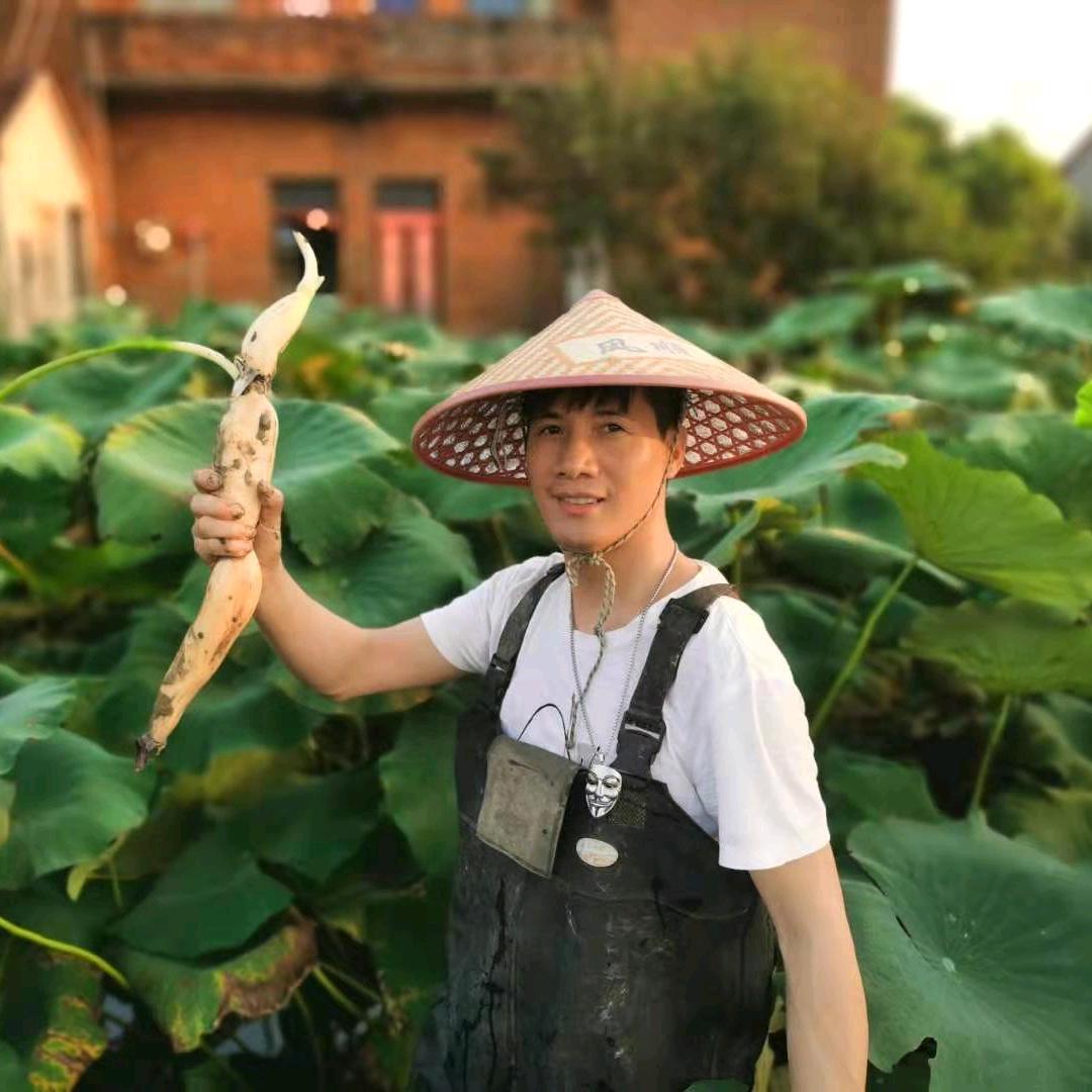不爱种地的飞飞