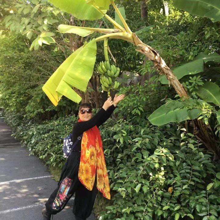 🍏邓