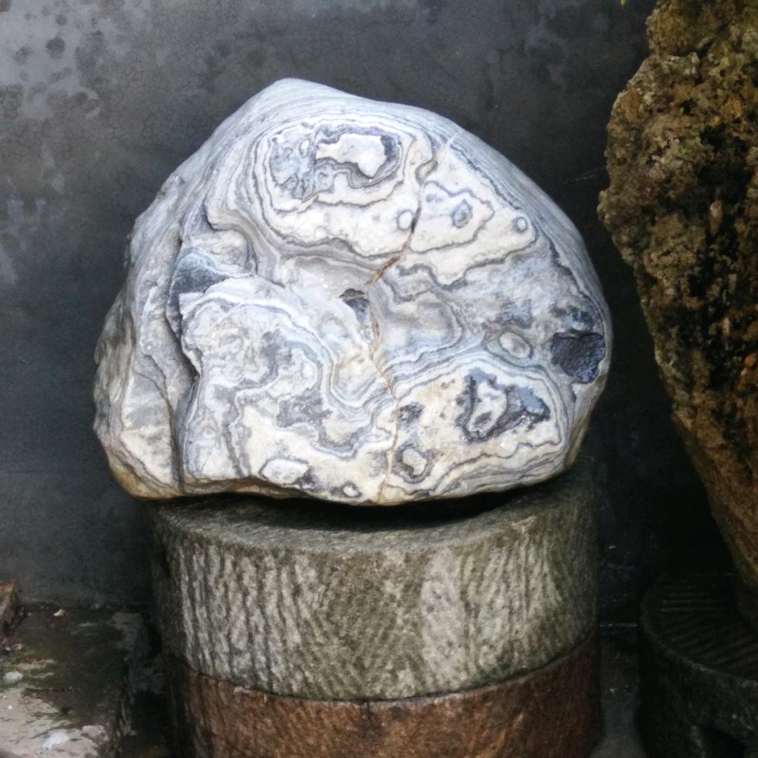 用户3057753666836龙海飞腾