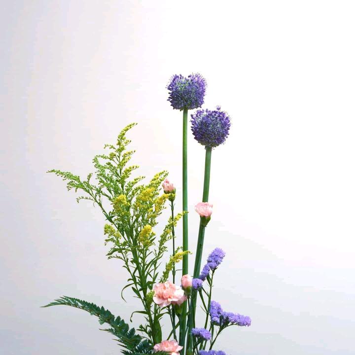 薰衣草