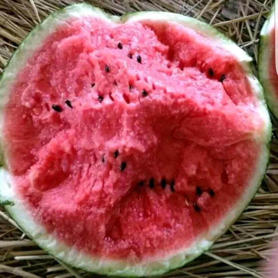 醉卧沙场君莫笑