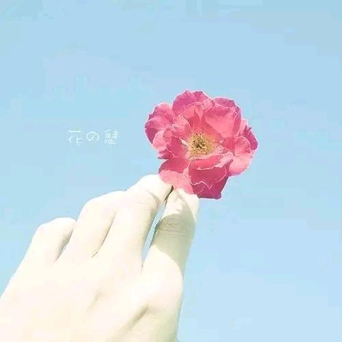 某某某