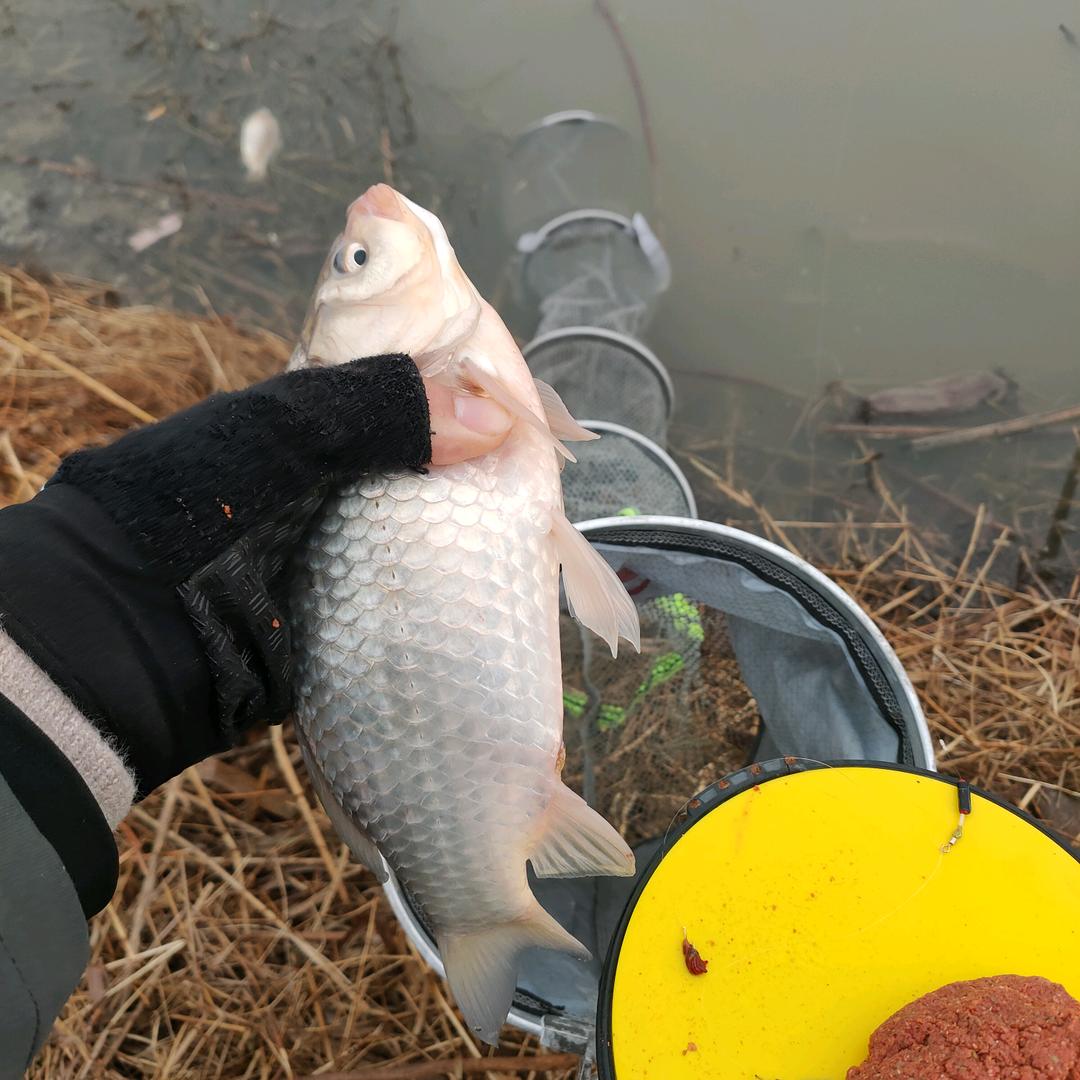 淮阴区留守青年