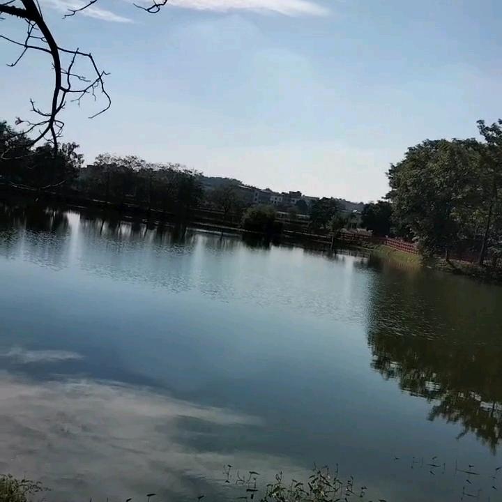 刘大哥