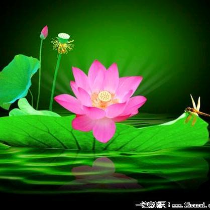 ℋღ᭄幸福绕指柔🍒᭄💞࿐