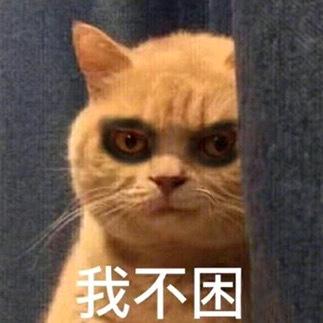 深夜不想凉