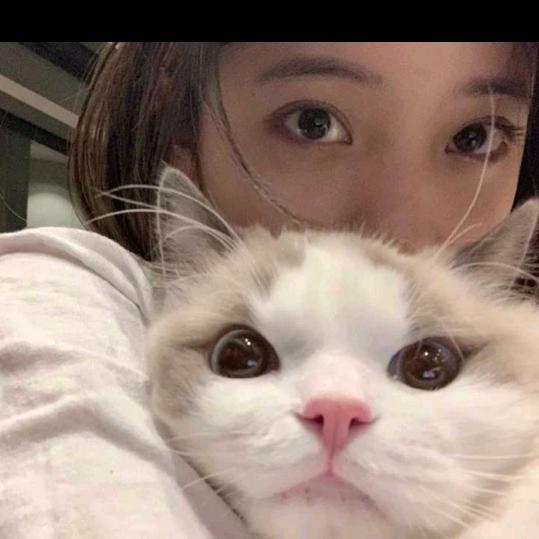 琛悦严选
