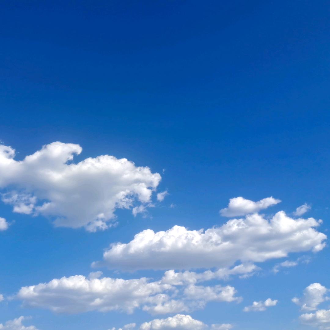 郝景伟369
