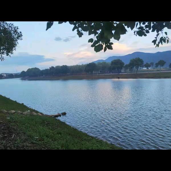 孙哥在宁波