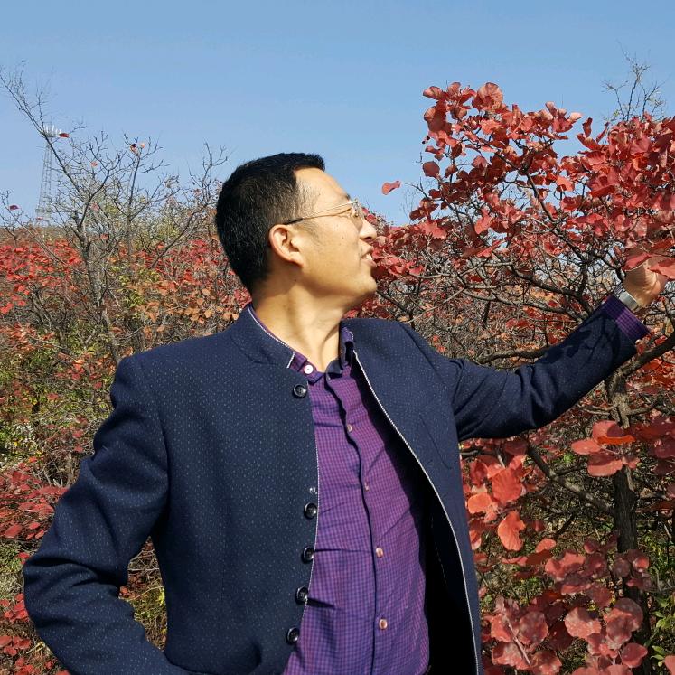尹老师高产植保