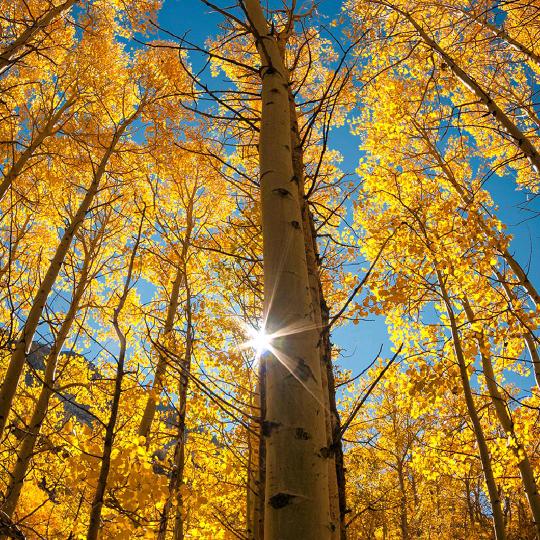 ℳঞᩚ初訫꧔ꦿ᭄💞