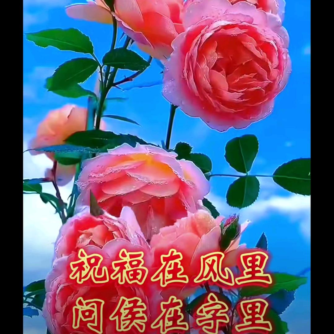 佘