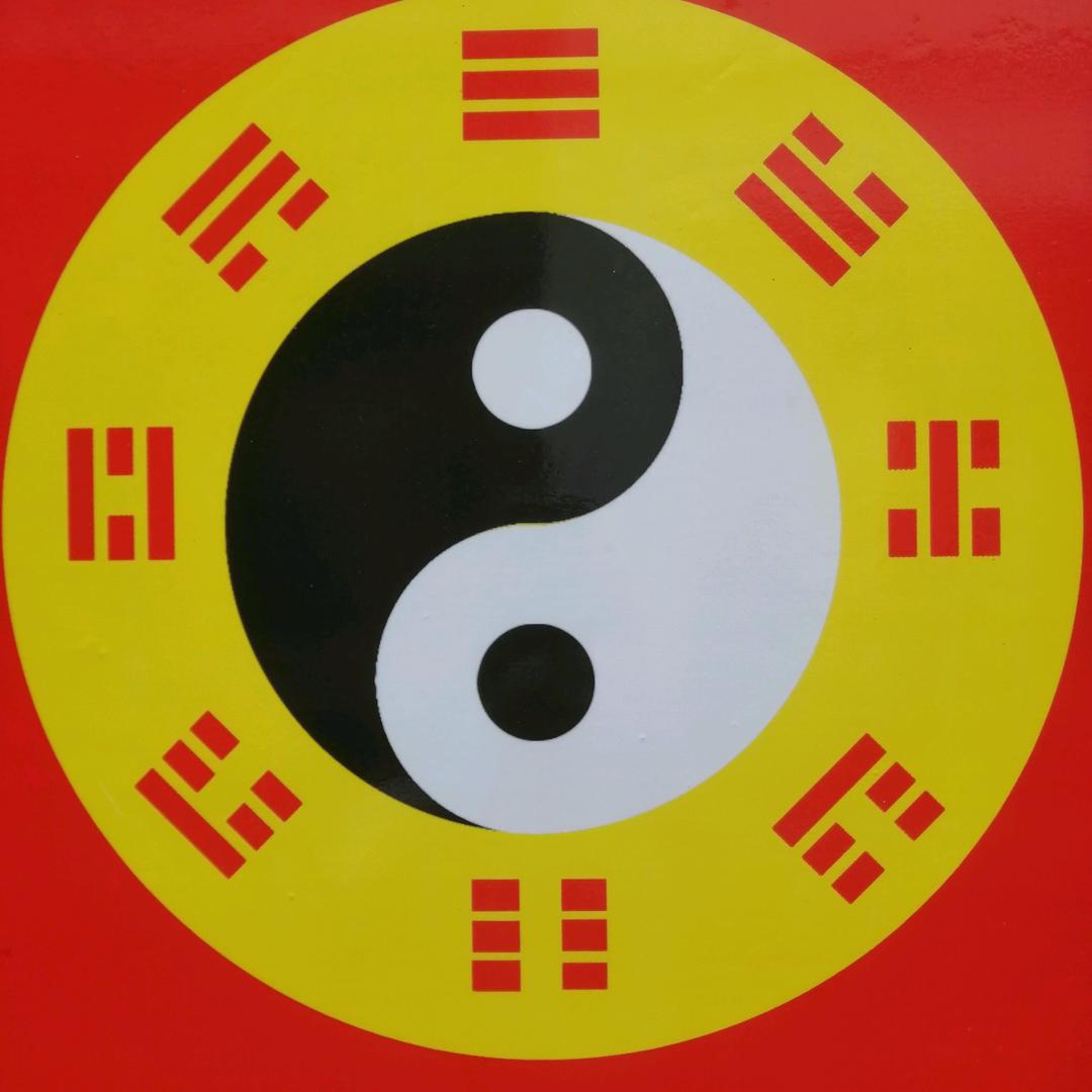 由命不由人