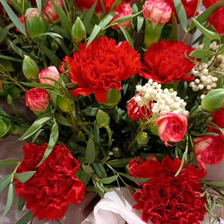 @🍀梅子🍀🌹🌻