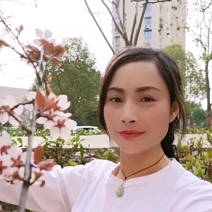 单调玫瑰