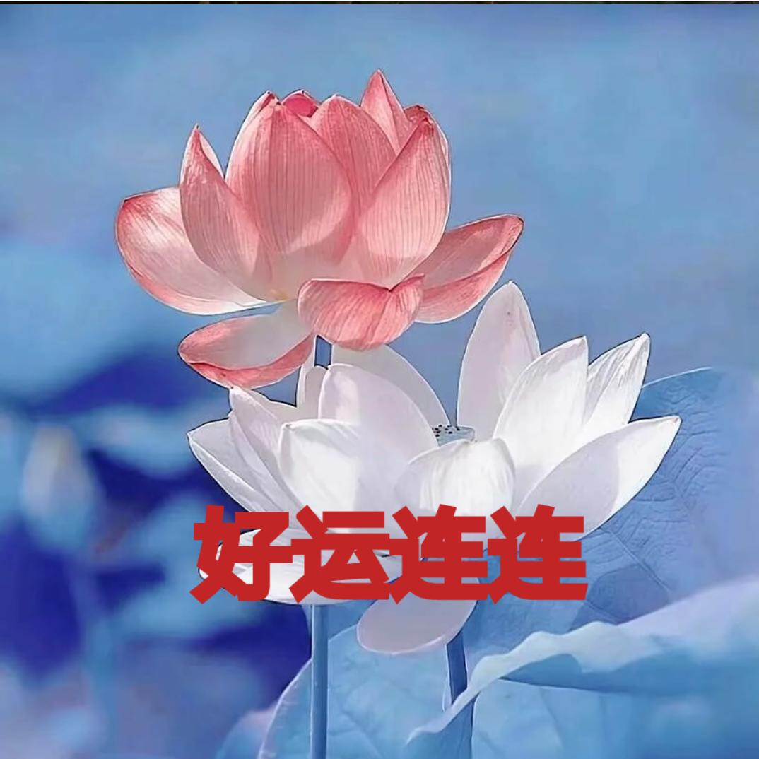 漫天飞雪(拒私聊)