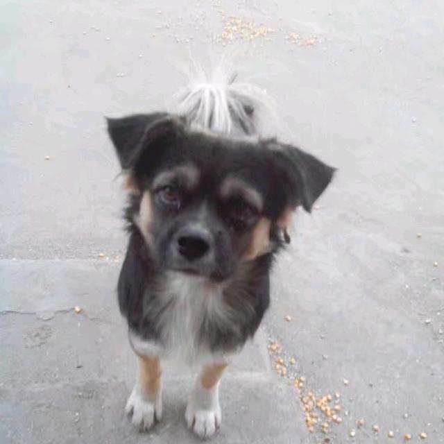 错过了一个人