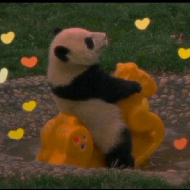 呀呼~