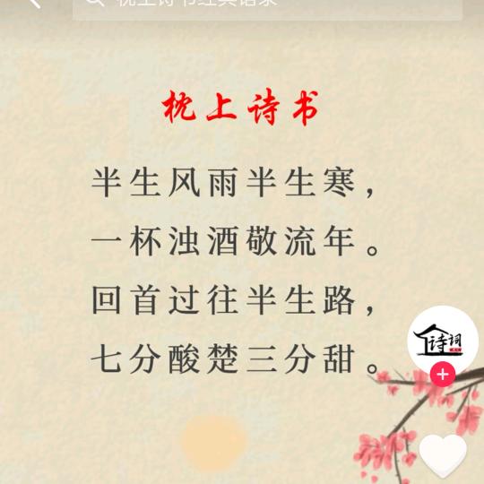 远方【飞刀运动推广】