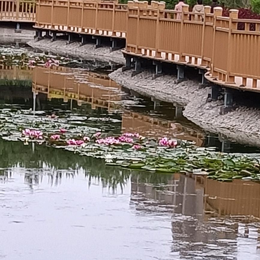 蓝   天