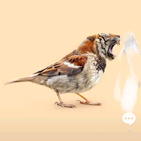 你在找网名吗？