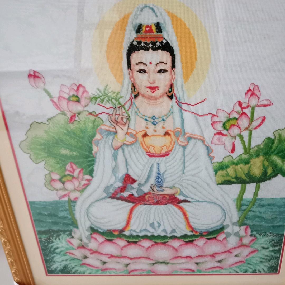 开心兰