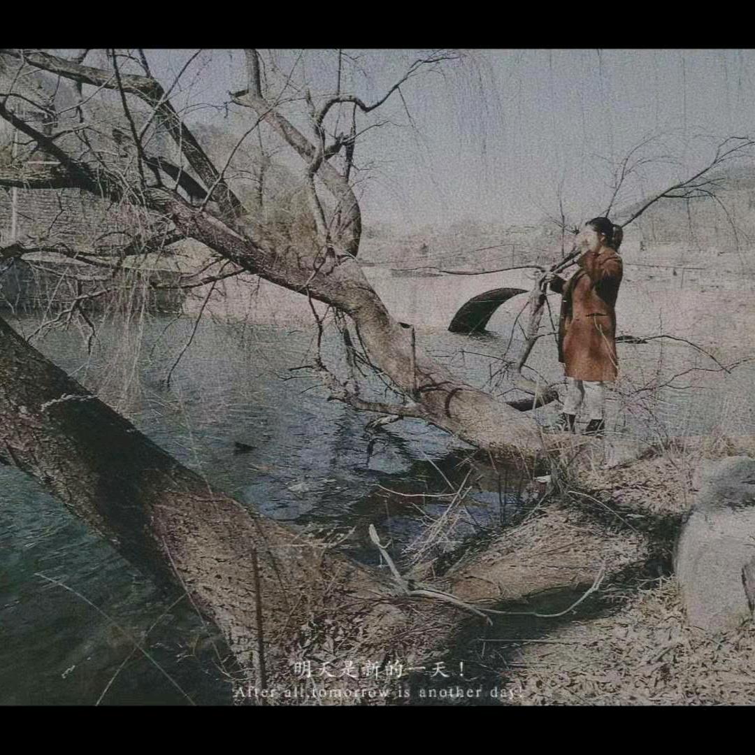 玲爱跳舞💃