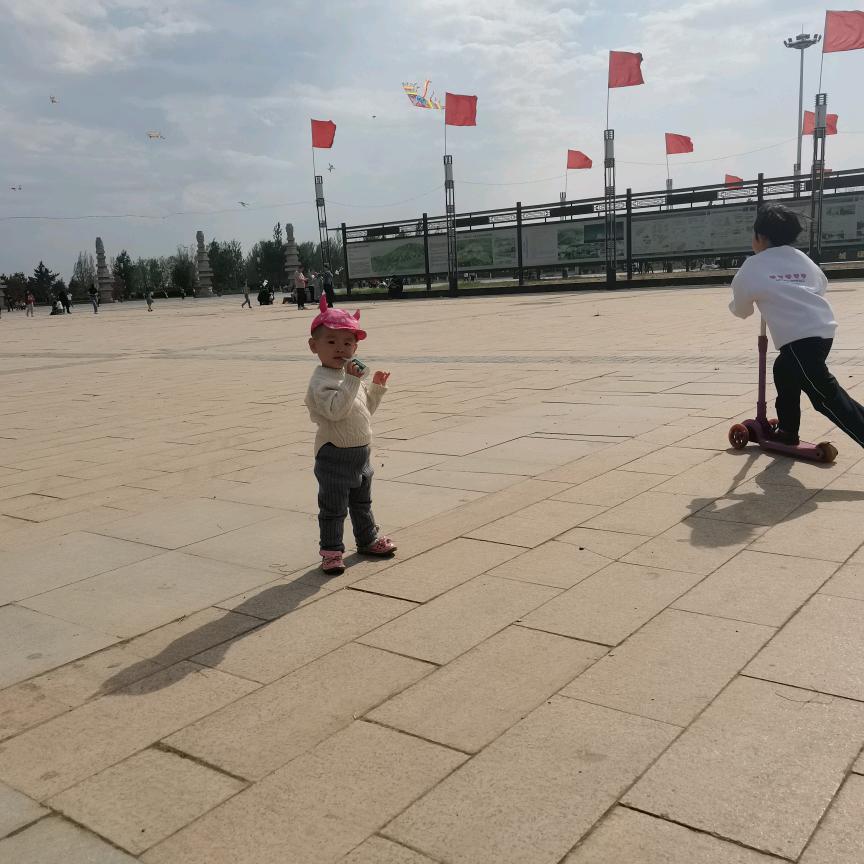 欣欣向荣20152022