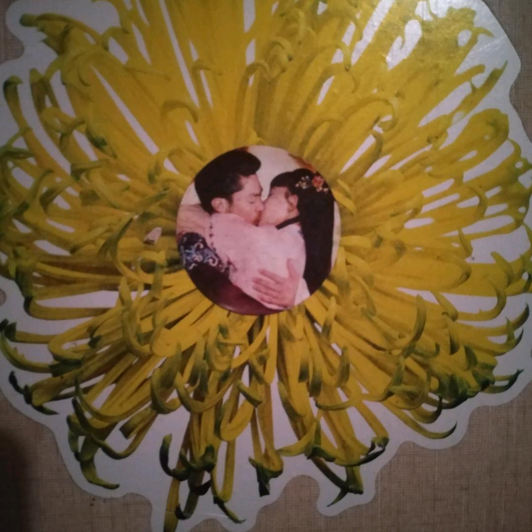 封心锁爱