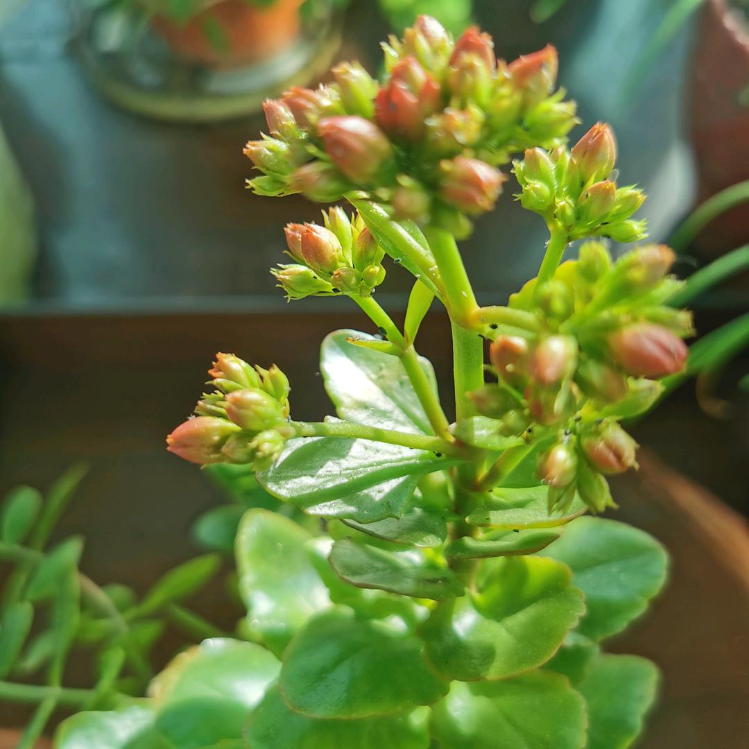 用户9662959403932爱心永恒