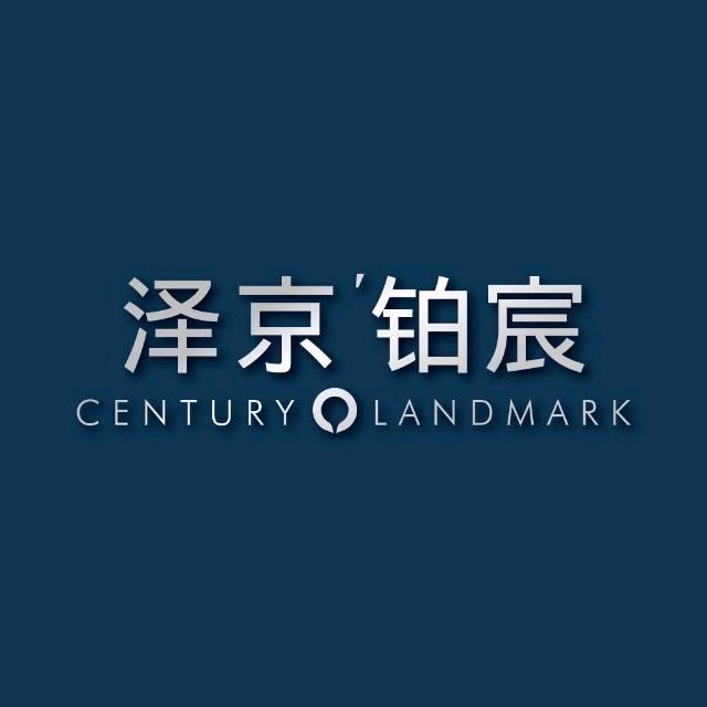 偃师泽京地产