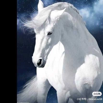 孤独的海