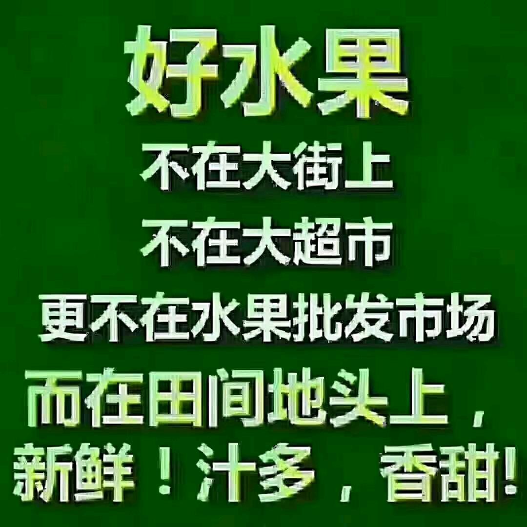 黄氏水果供应链