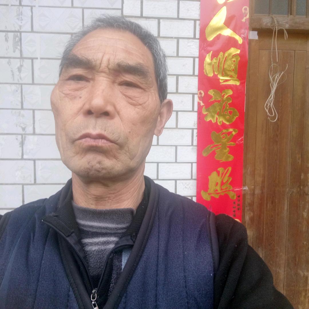 段国臣