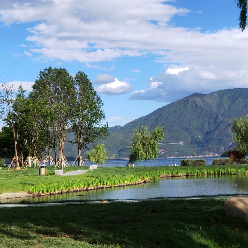 《官山牛油果基地》