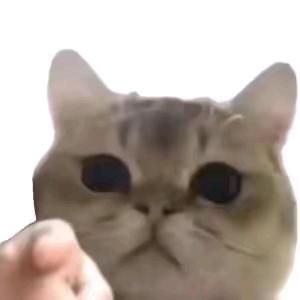 如果你突然打了个喷嚏