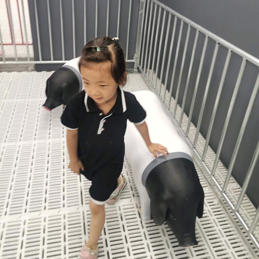 传奇的燕子
