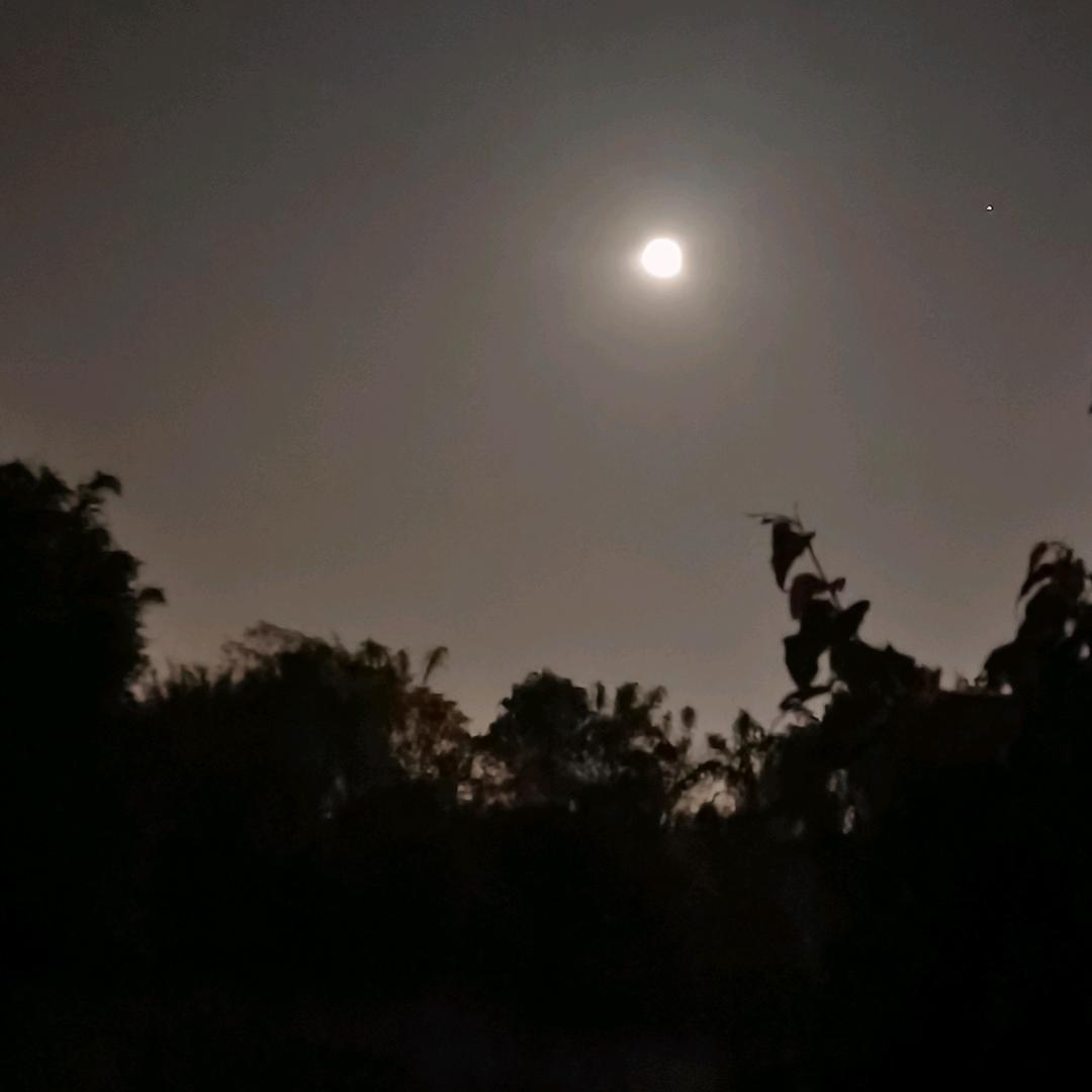 陵陵