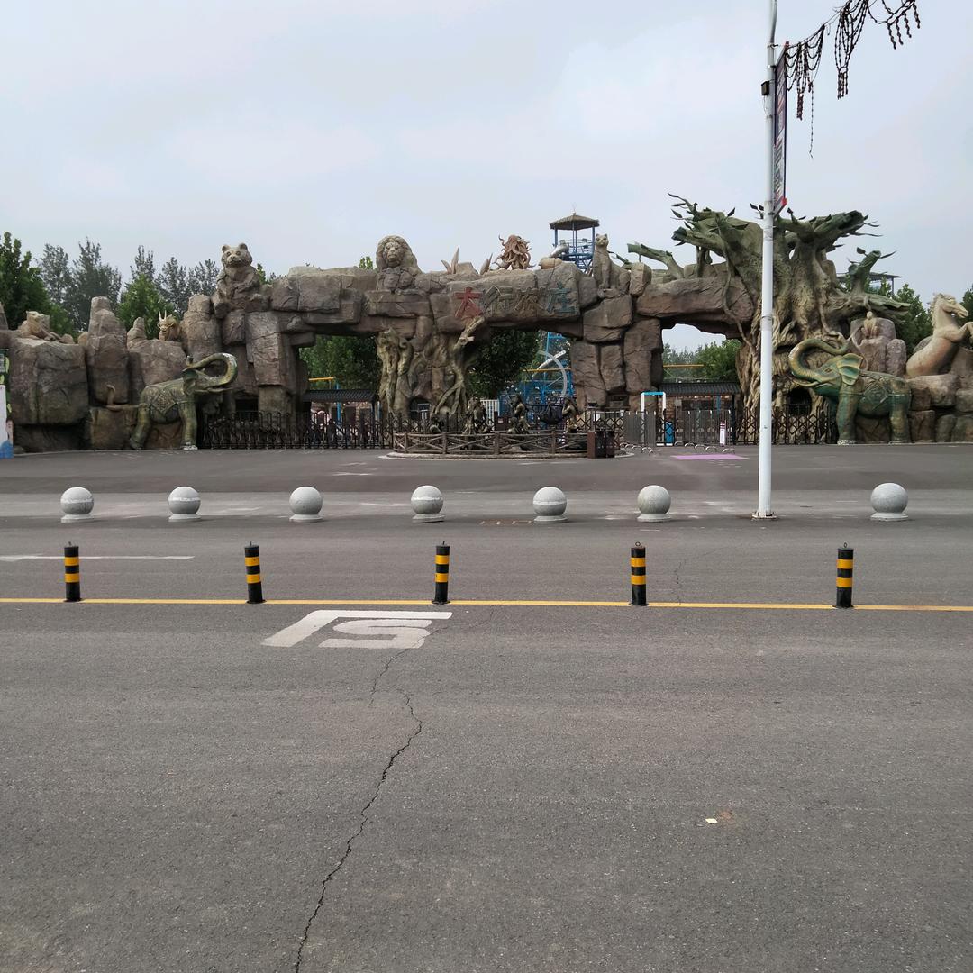焦志民