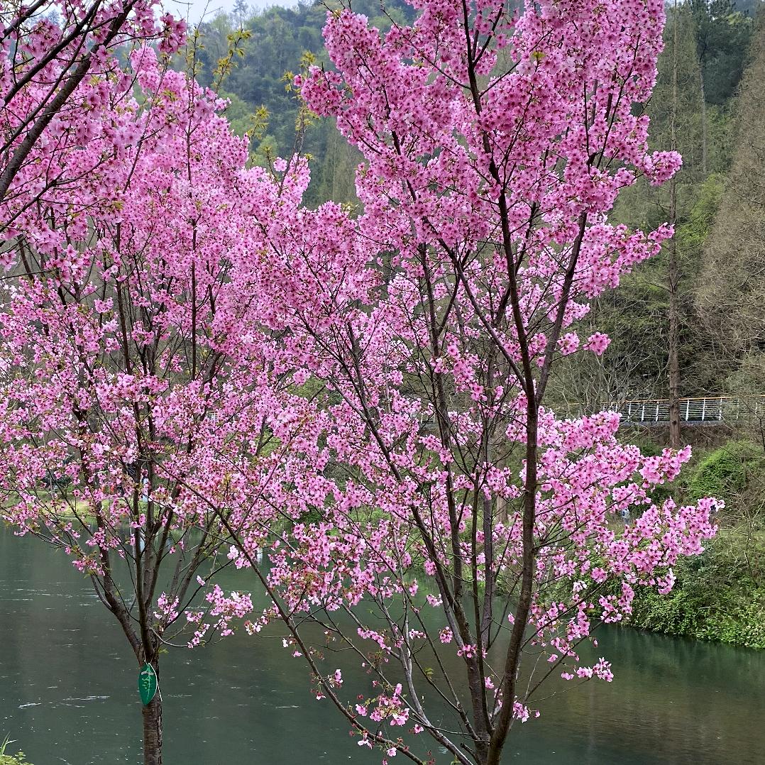 一生有你就足够