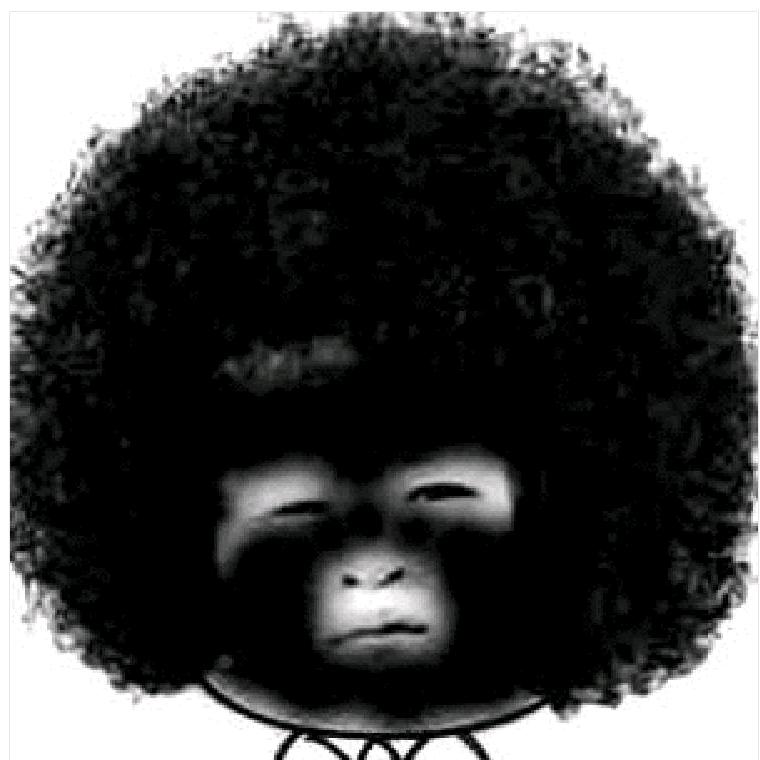 本座名曰：坤少