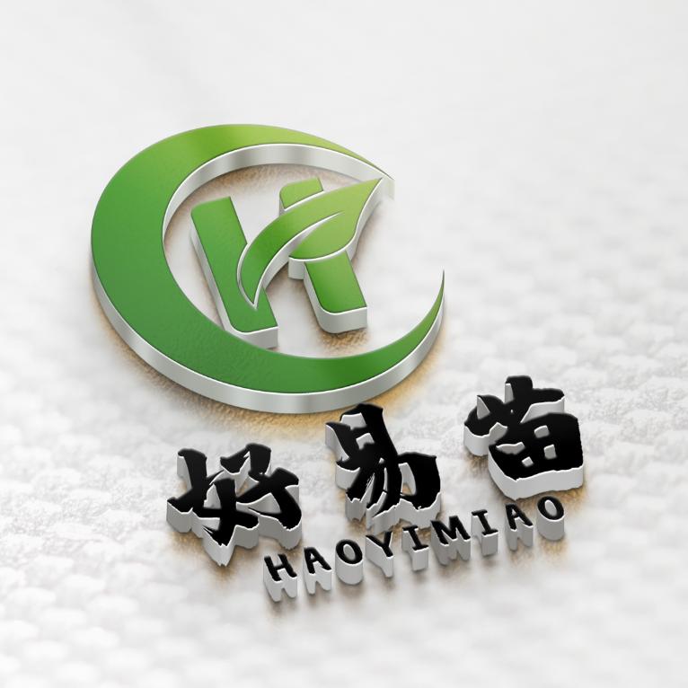 坚持梦想              🐜