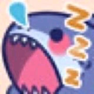 鲨鱼君