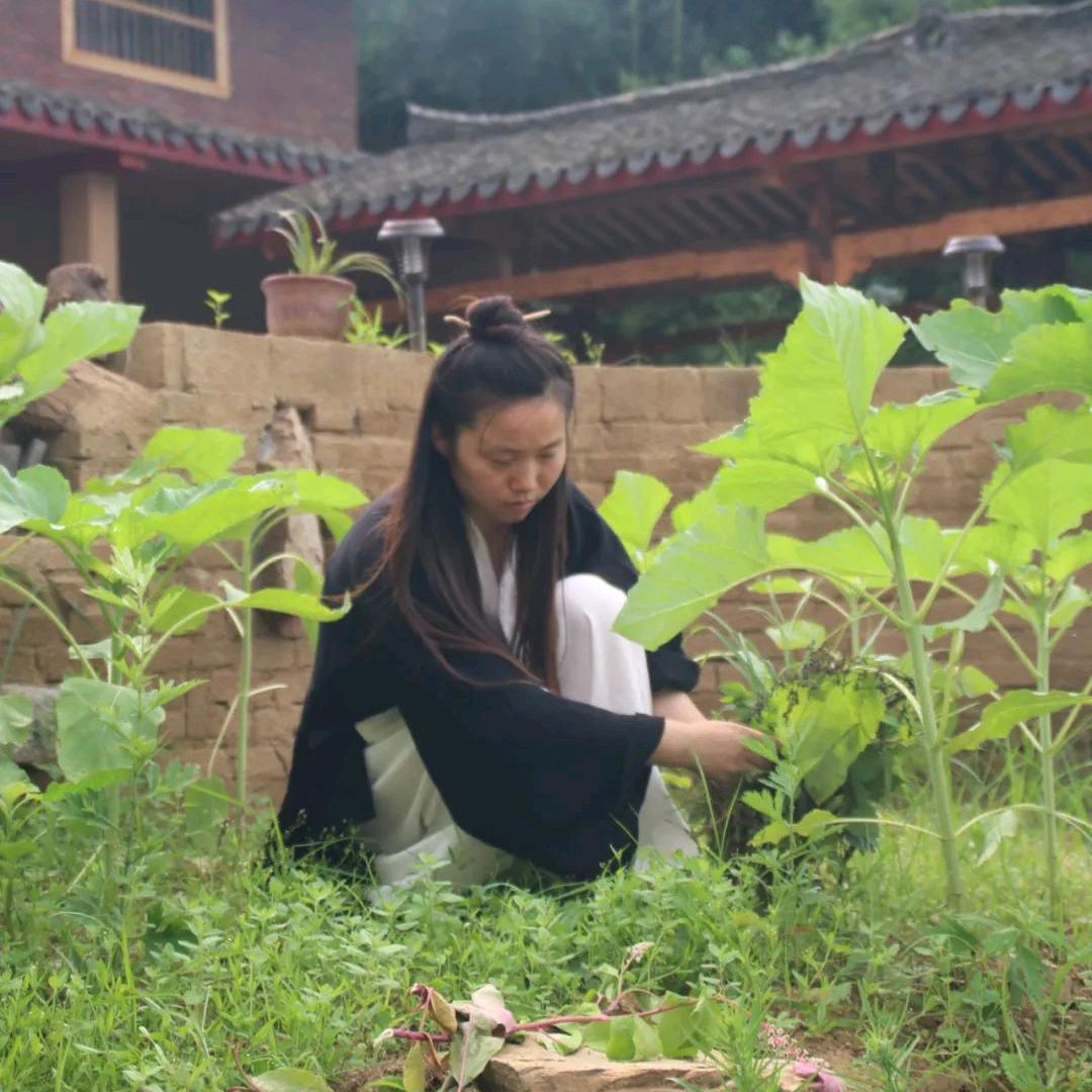 武当不染山人（收徒）