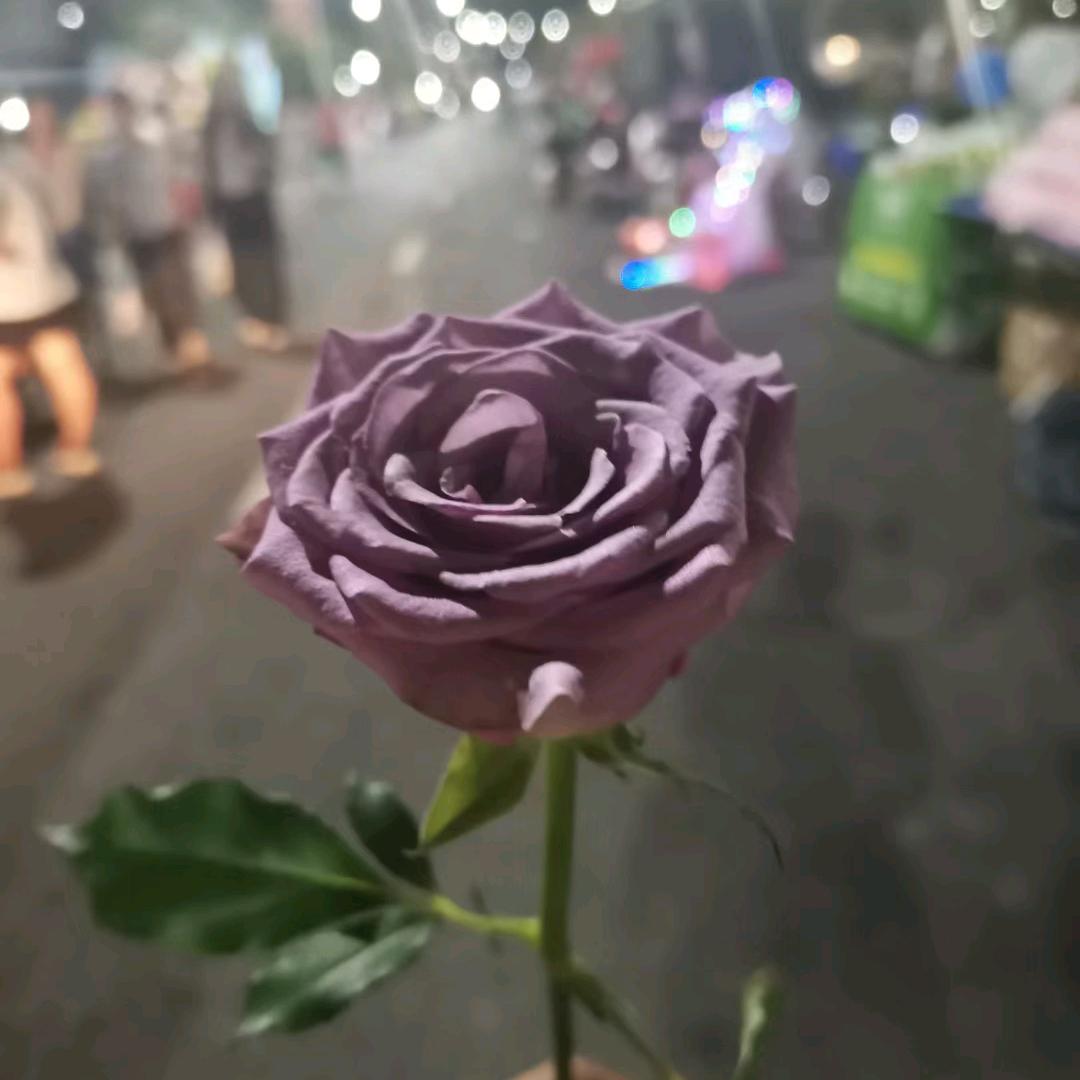 青春，蒼白如討