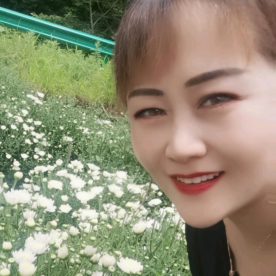 魏氏专注茄子