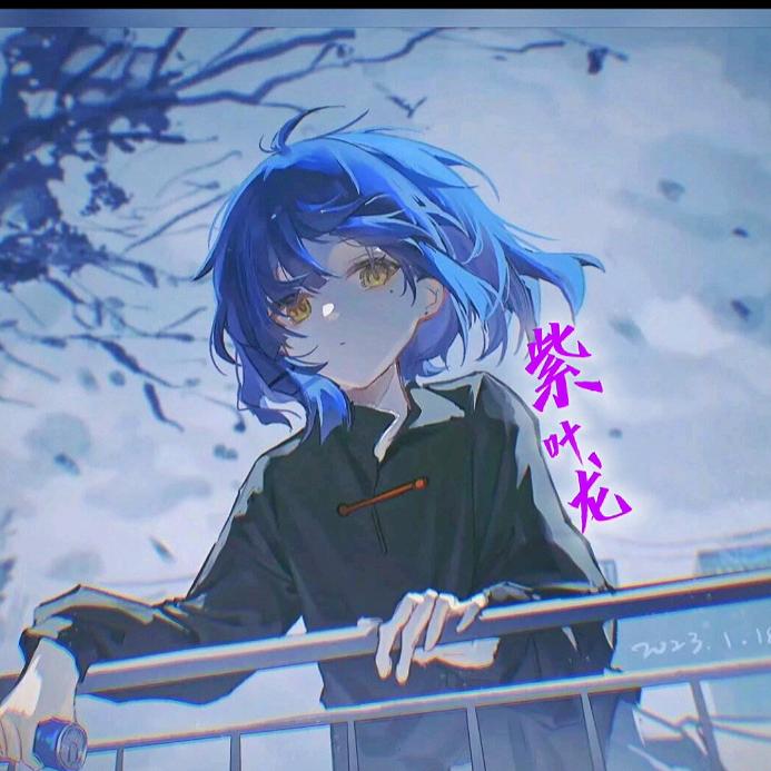 紫叶龙（护）