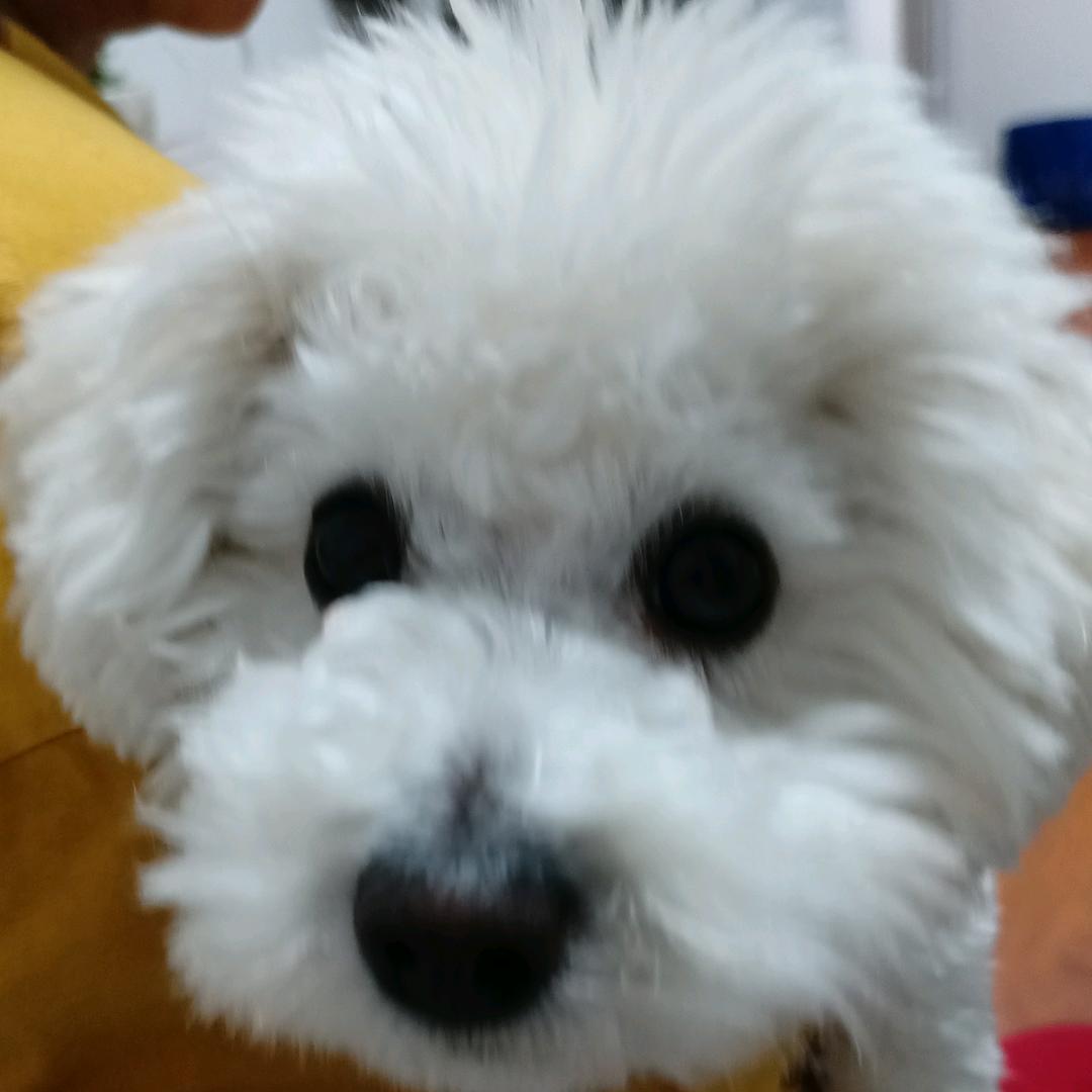 丽丽姐