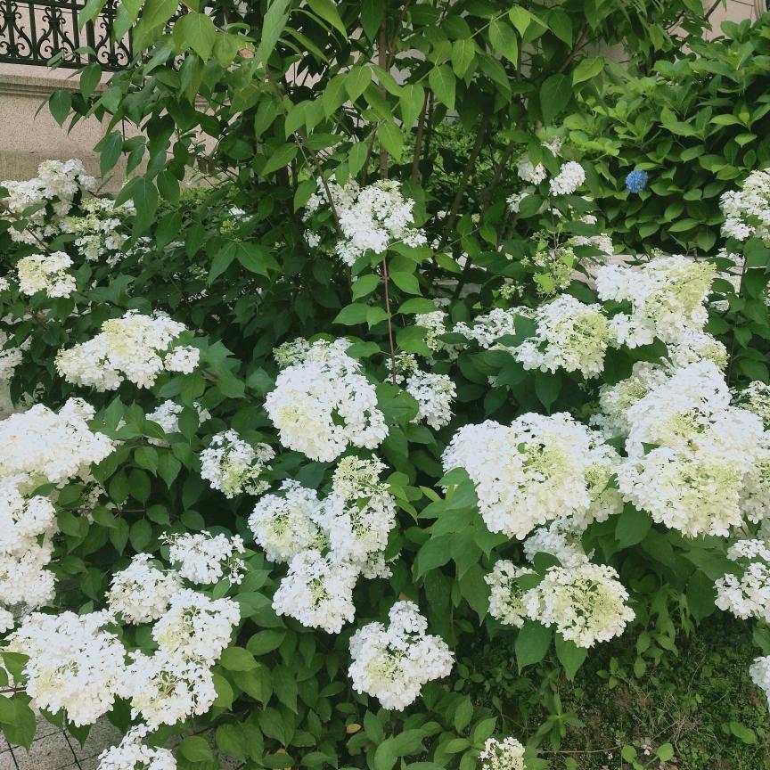 一见钟情